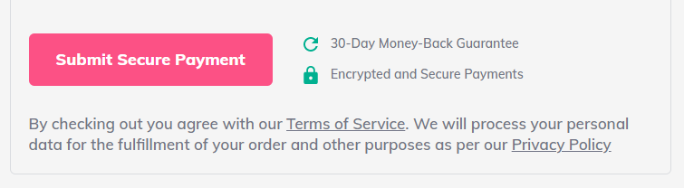 Hostinger submit secure payment screen.