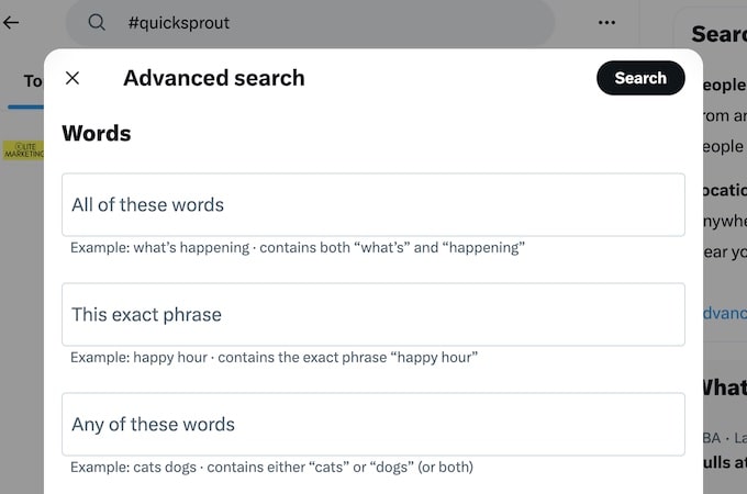 Example of Twitter's advanced search parameters screen.