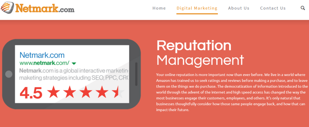 Netmark.com reputation management homepage.
